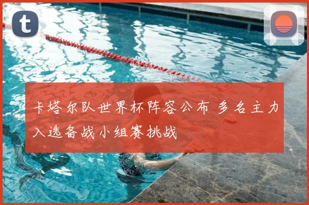 卡塔尔队世界杯阵容公布 多名主力入选备战小组赛挑战