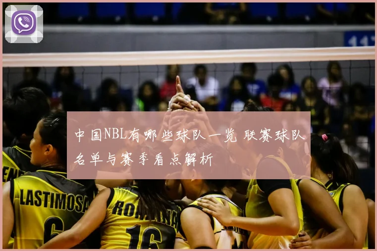 中国NBL有哪些球队一览 联赛球队名单与赛季看点解析