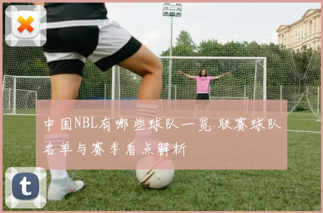 中国NBL有哪些球队一览 联赛球队名单与赛季看点解析