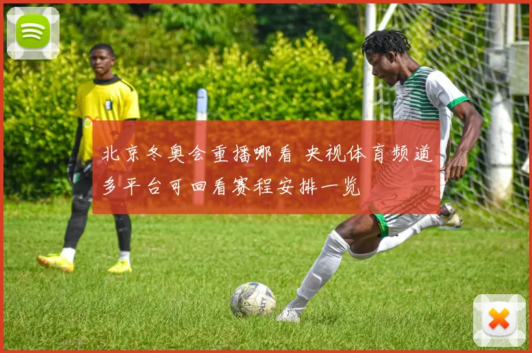 北京冬奥会重播哪看 央视体育频道多平台可回看赛程安排一览