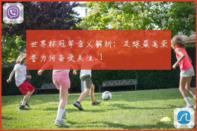 世界杯冠军含义解析：足球最高荣誉为何备受关注_1