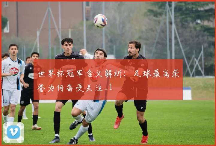 世界杯冠军含义解析：足球最高荣誉为何备受关注_1