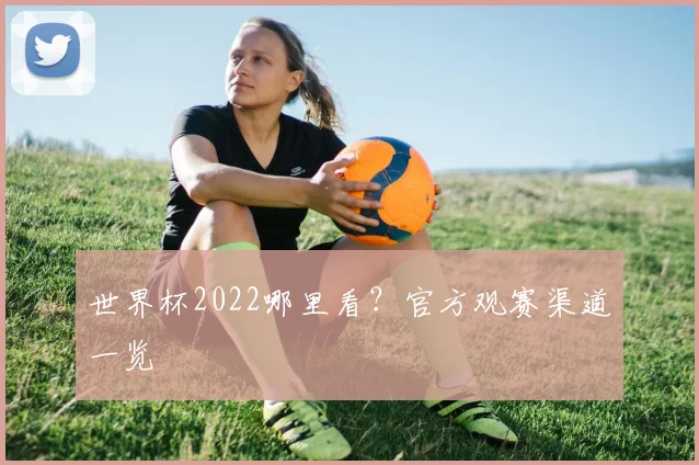 世界杯2022哪里看？官方观赛渠道一览